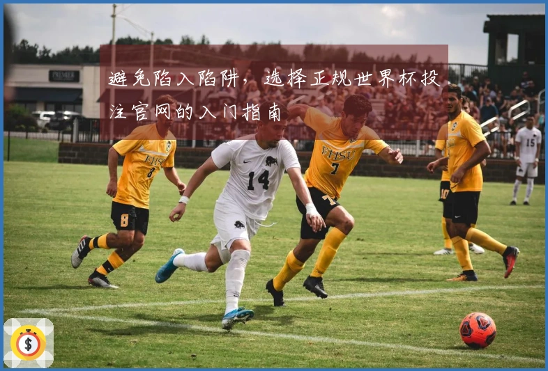 避免陷入陷阱，选择正规世界杯投注官网的入门指南