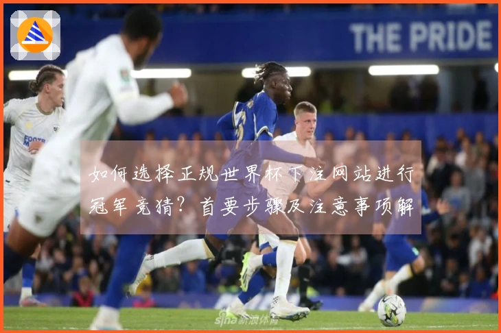 如何选择正规世界杯下注网站进行冠军竞猜？首要步骤及注意事项解析