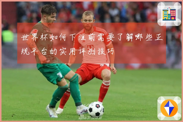 世界杯如何下注前需要了解哪些正规平台的实用评测技巧