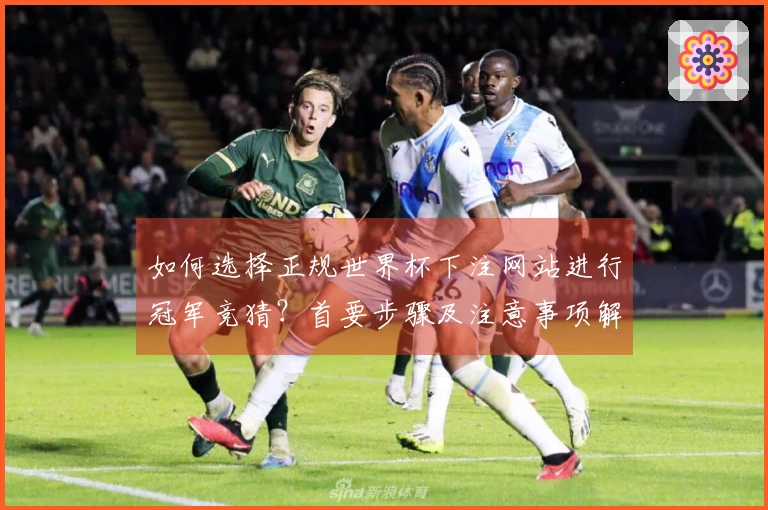 如何选择正规世界杯下注网站进行冠军竞猜？首要步骤及注意事项解析